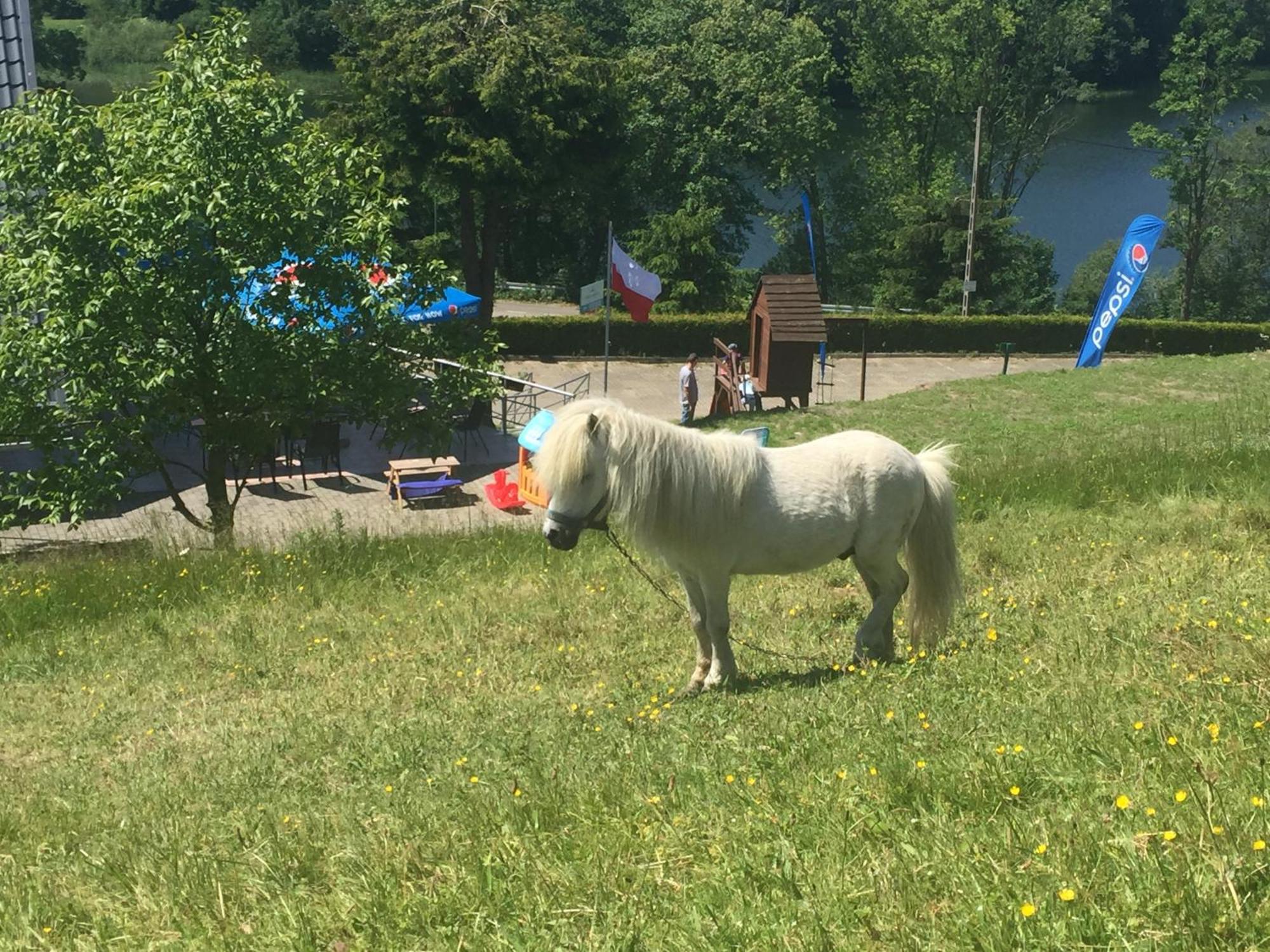 Modra Sobotka Hotell Reboszewo Exteriör bild